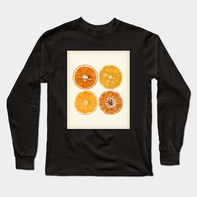 Retro Style Orange & Lemon Slice Art Long Sleeve T-Shirt by DownThePath